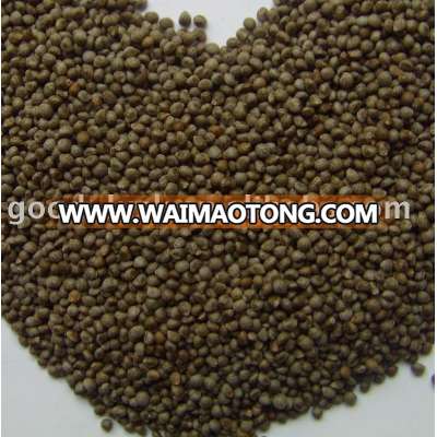 dark grey perilla seed